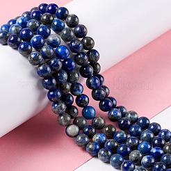 Natural Lapis Lazuli Round Beads Strands&nbsp;X-G-I181-09-6mm