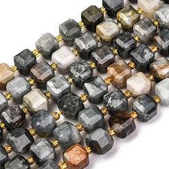 Natural Eagle Eye Stone Beads Strands&nbsp;G-K389-A02-01