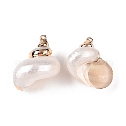 Natural Sea Shell Pendants&nbsp;LS-SSHEL-N038-54