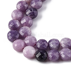 Natural Lepidolite/Purple Mica Stone Beads Strands&nbsp;G-C179-A38-03