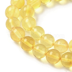 Natural Amber Beads Strands&nbsp;G-L095-B01-5mm-01