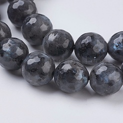 Natural Larvikite Beads Strands&nbsp;X-G-G542-10mm-27