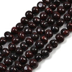 Natural Brecciated Jasper Beads Strands&nbsp;G-G053-C13-01