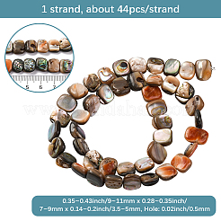 1 Strand Natural Paua Shell Beads Strands&nbsp;BSHE-PA0001-07