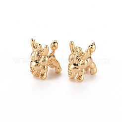 Brass Charms&nbsp;KK-S356-455-NF