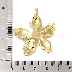 Rack Plating Brass & Cubic Zirconia Pendants&nbsp;KK-L216-068G