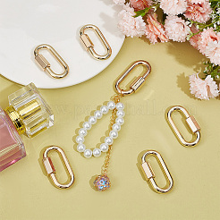 6Pcs Alloy Screw Carabiner Lock Charms&nbsp;FIND-UN0003-31LG