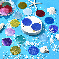 48Pcs 12 Colors Natural Shell Connector Charms&nbsp;SHEL-SC0001-72