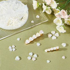 ABS Plastic Imitation Pearl Cabochons&nbsp;PACR-AR0001-02