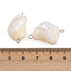 Natural Shell Nuggets Connector Charms&nbsp;STAS-D378-29P