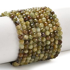 Natural Green Garnet Beads Strands&nbsp;G-Z161-A03-4mm