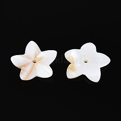 Natural Freshwater Shell Beads&nbsp;BSHE-T014-14