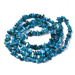 Natural Freshwater Shell Beads Strands&nbsp;SHEL-S278-070F