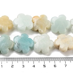 Natural Flower Amazonite Beads Strands&nbsp;G-F769-F01-02