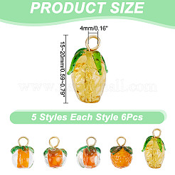 30Pcs 5 Styles Glass & Lampwork Pendants&nbsp;PALLOY-AR00021