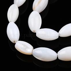 Natural Freshwater Shell Beads Strands&nbsp;SHEL-N026-212-A01