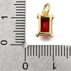 925 Sterling Silver Pave Clear Cubic Zirconia Charms&nbsp;STER-V001-02G-07