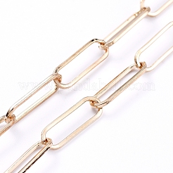 Iron Cable Chains/Paperclip Chains Eyeglasses Chains&nbsp;AJEW-EH00019