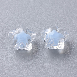 Transparent Acrylic Beads&nbsp;TACR-S152-01A-SS2113