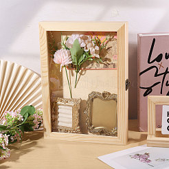 Wood Insect Specimen Display Cases with Visible Window&nbsp;CON-CA0001-035A