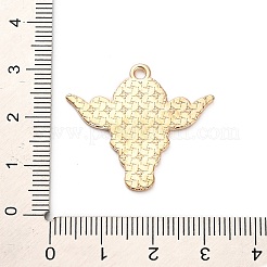 Western Cowboy Theme Alloy Enamel Pendants&nbsp;FIND-V001-04G-03