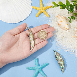 2Pcs Handmade Natrual Paua Shell Carved Big Pendants&nbsp;FIND-BC0013-54