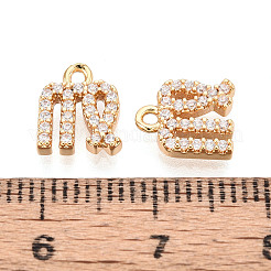 Brass Micro Pave Cubic Zirconia Charms&nbsp;KK-N263-148H-G