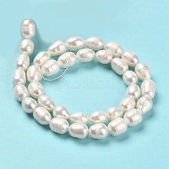 Natural Cultured Freshwater Pearl Beads Strands&nbsp;PEAR-E016-062