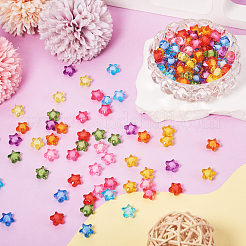 Transparent Acrylic Beads&nbsp;TACR-TAG0001-02