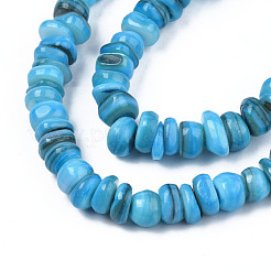 Natural Trochid Shell/Trochus Shell Beads Strands&nbsp;SHEL-S258-081-B04