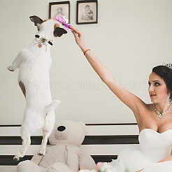 Plastic Artificial Leaf & Velvet Dog Ring Bearer&nbsp;HJEW-DR00077