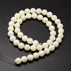 Shell Beads Strands&nbsp;SSHEL-E571-39-3mm