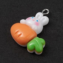 Opaque Resin Pendants&nbsp;LS-RESI-D064-02P-09