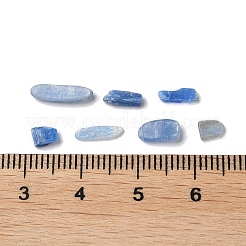 Natural Kyanite/Cyanite/Disthene Chip Beads Beads&nbsp;X-G-L588-01