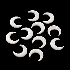 Natural Freshwater Shell Beads&nbsp;SHEL-H003-05