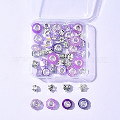 DIY Tibetan Style Alloy & Resin European Beads Making Finding Kits&nbsp;DIY-FS0006-78D