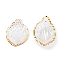 Transparent Acrylic Pendants&nbsp;X-TACR-D013-01