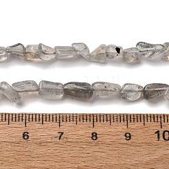 Natural Labradorite Beads Strands&nbsp;G-I389-A35-01B