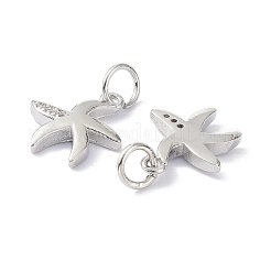 Brass Micro Pave Cubic Zirconia Charms&nbsp;ZIRC-C022-24P