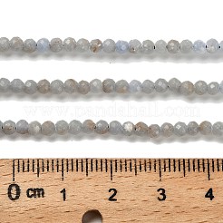 Natural Angelite Beads Strands&nbsp;LS-G-RM2025-16-3mm