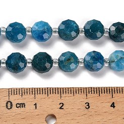 Natural Apatite Beads Strands&nbsp;G-B153-A05