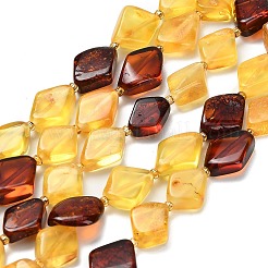 Natural Amber Beads Strands&nbsp;G-Z106-D01