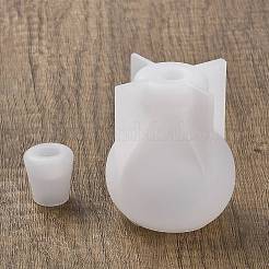 DIY Wishing Bottle Silicone Molds&nbsp;X-DIY-M049-01F