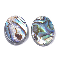 Natural Abalone Shell/Paua Shell Beads&nbsp;X-SSHEL-T008-14