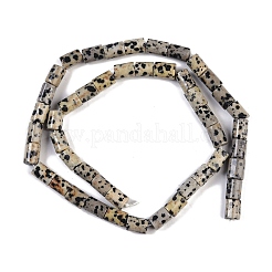 Natural Dalmatian Jasper Beads Strands&nbsp;G-C128-A18-01