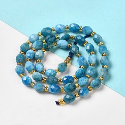 Natural Apatite Beads Strands&nbsp;G-H297-C03-01