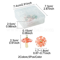 10Pcs 2 Colors Plastic Pendants&nbsp;KY-FS0001-32