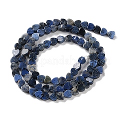 Natural Sodalite Beads Strands&nbsp;G-M403-A08-01