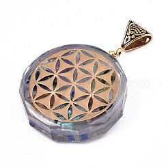 Transparent Epoxy Resin Alchemy Pendants&nbsp;RESI-T049-15