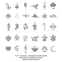 60Pcs 30 Style Tibetan Style Zinc Alloy Charms&nbsp;TIBEP-FS0001-09
